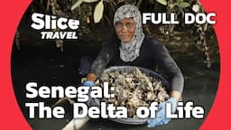 Senegal: For a Sustainable Mangrove | SLICE TRAVEL | FULL DOC