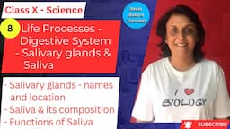 Class X Science | Life Processes - Salivary Glands and Saliva  | Neela Bakore Tutorials