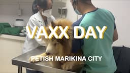 PET VACCINE DAY/ PETISH MARIKINA CITY