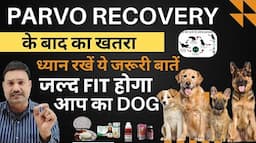 PARVO से ठीक हुए डॉग के किए बेहद जरूरी After Parvo Recovery diet,Feeding, Vaccine, Tonics,Care