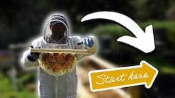 Setting Up An Apiary? Start HERE