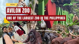 AVILON ZOO in Rodriguez, Rizal - Exploring one ot the Largest Zoo in the Philippines