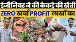 ना खर्चे का टेंशन ना काम का😱💯घर बैठे करें Crab Farming🦀12 महीने मिलेगा पैसा🤑Indian Farmer