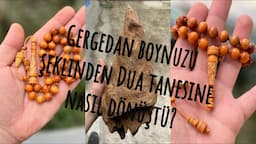 Gergedan Ağacının Brezilya’dan Türkiye’ye Yolculuğu!!!Belgesel Tadında!