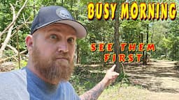 C'mon Mountain Is Buzzing |tiny house, homesteading, off-grid, cabin build, DIY HOW TO sawmill