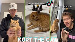 Best Cat Kurt and his Hooman Abram Engle Tik Tok Videos - Funniest Cats of Tiktok @abrameng