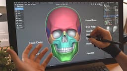 How to Sculpt the Skull for Beginners in Blender - Anatomy, Proportions and The 5 Stages