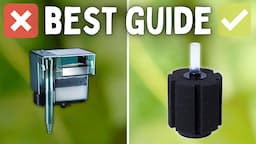 How to Choose the BEST Filter for Your Aquarium! (Beginner Guide)