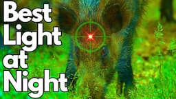 WILD Hog Hunting in Dark Times. Flashlights You Need Now!