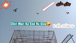 End Ho giya Aaj Chiri Mari Ka😅 || سب کبوتر بازوں کو پاگل کر دیا اس کبوتر نے😁