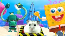 Hamster in Roller Coaster Maze with SpongeBob - My Krabby Patty