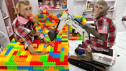 Bim Bim Monkey builds Colorful DIY Lego Bed and Building Blocks with naughty Baby Monkey Obi