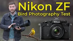 Nikon ZF for Bird Photography - Tested and Reviewed