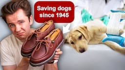 Why $635 “Veterinary” Shoes Exist.