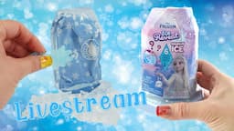 Disney Frozen Ice Reveal Doll Unboxing