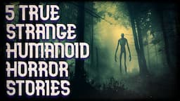 5 TRUE STRANGE HUMANOID ENCOUNTERS