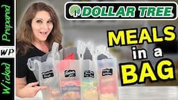 Do you need THESE in your Prepper Pantry! Shelf Stable Emergency Meals from Dollar Tree! SHTF 2024