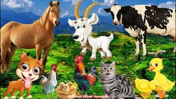 Funny Farm Animal Moments: Cow, Chicken, Duck, Horse, Sheep, and Cat - Animal Sound