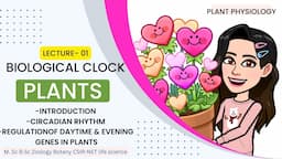 L-1 Biological Clock in plants -Intro ,Circadian Rhythm, Regulation of daytime & Evening Genes plant