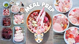 How I Meal Prep Raw Food For My Dog (Full Week)