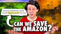 Could the Amazon Rainforest Collapse?