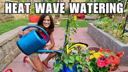 How to Water Your Container Garden: Heat-Proof Your Plants