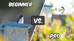 Pro vs. Beginner Wildlife Photography Gear Comparison