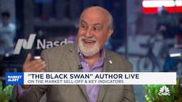 'The Black Swan' author Nassim Taleb on bitcoin: Not a hedge against your assets melting