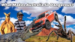 What Makes Australia So Dangerous?