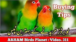 Love Birds Buying Tips, in Urdu / Hindi By |Arham|., Video. 311