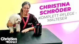 Komplette Hundepflege von Malteser