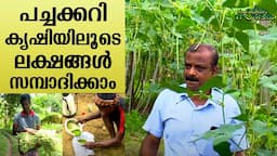 Earn millions through profitable and affordable vegetable cultivation | Haritham Sundaram EP 340