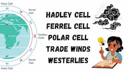 Atmospheric Circulation: What is a Hadley cell, Ferrel cell, Polar cell, and Westerlies?