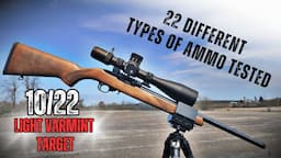 Ruger 10/22  Light Varmint Target : ULTIMATE Accuracy Review