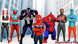 KID SPIDER MAN & Shark Spider-man Rescue All Superhero ( Pro 5 SpiderMan Story )