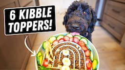 Human Foods Dogs SHOULD Eat 🐶 6 Best Kibble Toppers