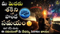 The 5am Club | The 5am Club Book Summary In Telugu | The Power Of Your Brain In Telugu | Brain Power