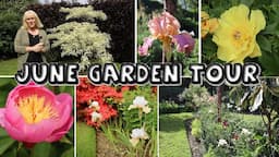 June Garden Tour || Stroll & a Chat about my Garden, Douentza