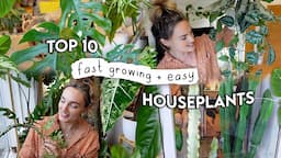 10 Fast Growing EASY Indoor Plants 🌿 Easiest + Fastest Growing Houseplants