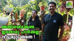 അതിശയിക്കേണ്ട .. ഇതൊരു പാർക്കല്ല ... വീട്ടുമുറ്റം തന്നെ !!! | Kerala Home Garden