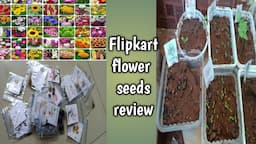 flipkart flower seeds 30days review/online seeds review/ unboxing online 40varieties of flower seeds