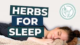 Herbs For SLEEP (and a sleepy tea recipe)