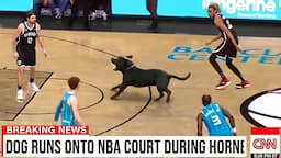 Ridiculous NBA Moments..