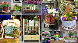 425 Best Garden Planter Ideas for Backyard! Container Garden Ideas You Must See!