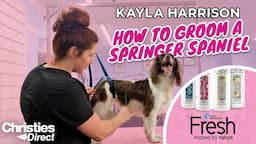 Kayla Harrison: How to Groom a Springer Spaniel