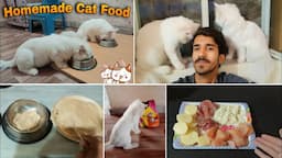 Homemade Cat Food 🍲 for my cats || Best persian cat food recipe |Rehan & Max