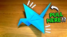 How To Make a Paper Flapping Bird - Fun & Easy Origami