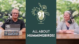 The Hummingbird Show | 91