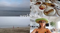 a week in my life l a lot of home decor, cooking, beach time, etc.