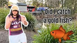 *Unbelievable* Aquarium fish catching/fishing wild gold fish